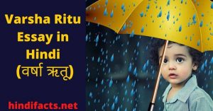 essay in hindi varsha ritu
