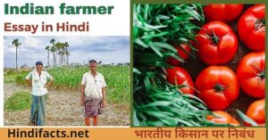 3 Best Essay On Indian Farmer In Hindi | भारतीय किसान पर निबंध